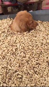 ����Ц����Ķ�ʮ��ͼ��005��