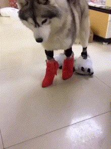 ����Ц����Ķ�ʮ��ͼ��005��