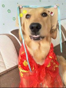 ����Ц����Ķ�ʮ��ͼ��005��