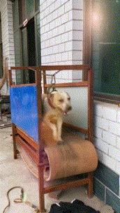 ����Ц����Ķ�ʮ��ͼ��005��