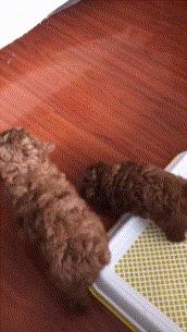 ����Ц����Ķ�ʮ��ͼ��005��