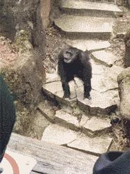 ���˾���Ц�Ķ�ʮ����ͼ��01��