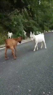 ���˾���Ц�Ķ�ʮ����ͼ��01��