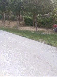 ���˾���Ц�Ķ�ʮ����ͼ��01��