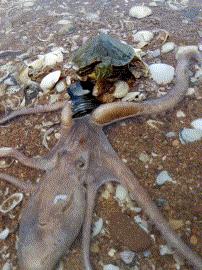 ���˾���Ц�Ķ�ʮ����ͼ��01��