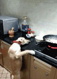 ����Ц�Ĳ����ֺ��Ķ�ʮ����ͼ��001��