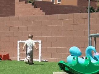 ����Ц�Ĳ����ֺ��Ķ�ʮ����ͼ��001��