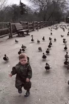 ����Ц�Ĳ����ֺ��Ķ�ʮ����ͼ��001��