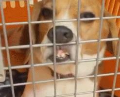 ����Ц�Ĳ����ֺ��Ķ�ʮ����ͼ��001��