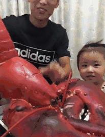 ����Ц�Ĳ����ֺ��Ķ�ʮ����ͼ��001��