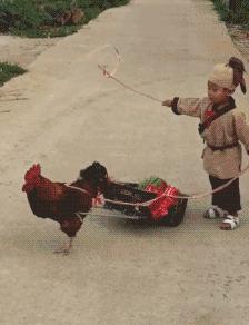 ����Ц�Ĳ����ֺ��Ķ�ʮ����ͼ��001��