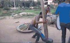 ������ϲ����Ķ�ʮ��ͼ��002��