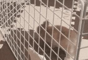 ������ϲ����Ķ�ʮ��ͼ��002��