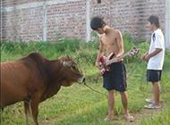 ����û����Ц�Ķ�ʮ��ͼ��008��