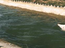 ����û����Ц�Ķ�ʮ��ͼ��008��