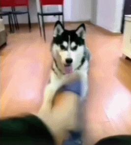 ����û����Ц�Ķ�ʮ��ͼ��008��