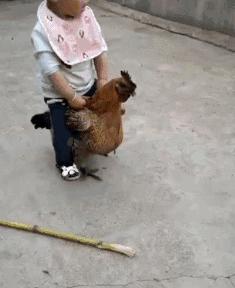 ����û����Ц�Ķ�ʮ��ͼ��008��