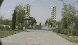 ����ЦЦ�����Ķ�ʮ��ͼ��001��