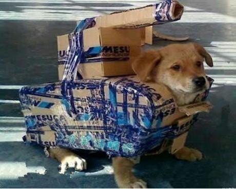 ����ЦЦ�����Ķ�ʮ��ͼ��001��