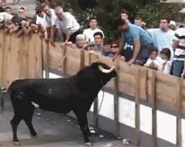 ���˻���ϲ�صĶ�ʮ��ͼ��003��