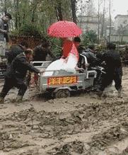 ���˻���ϲ�صĶ�ʮ��ͼ��003��