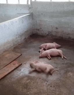 ���˴�Ц��ֹ�Ķ�ʮ����ͼ��01��