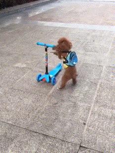 ���˴�Ц��ֹ�Ķ�ʮ����ͼ��01��