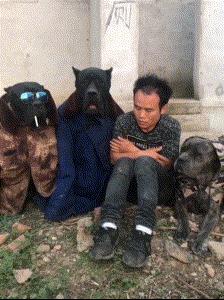 ���˴�Ц��ֹ�Ķ�ʮ����ͼ��01��