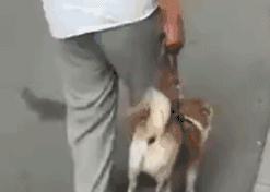 ������С�����˭��ʤ��