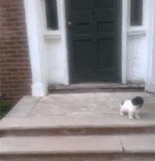 ������С�����˭��ʤ��