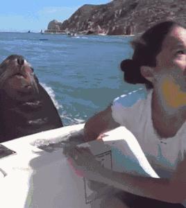 ������С�����˭��ʤ��