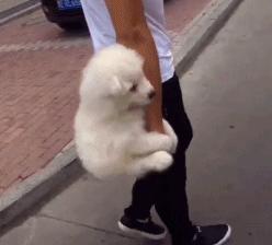 ������С�����˭��ʤ��