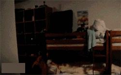 ����Ц����Ķ�ʮ��ͼ��003��