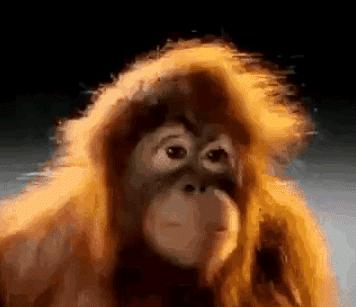 ����Ц���ϲ�£��Ķ�ʮ��ͼ��002��