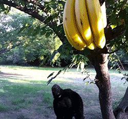 ����Ц���ϲ�£��Ķ�ʮ��ͼ��005��