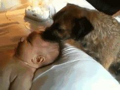 ����Ц���ϲ�£��Ķ�ʮ��ͼ��005��