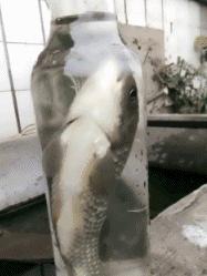 ����Ц���ϲ�£��Ķ�ʮ��ͼ��005��