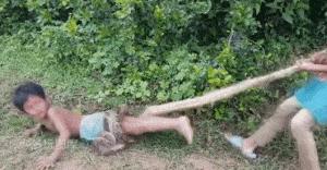 ���˻���ȸԾ�Ķ�ʮ����ͼ��001��