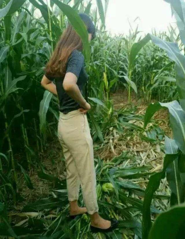 ���˻���ȸԾ�Ķ�ʮ����ͼ��001��