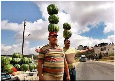 ���˻���ȸԾ�Ķ�ʮ����ͼ��001��