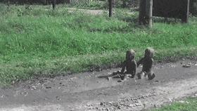 ���˻���ȸԾ�Ķ�ʮ����ͼ��001��