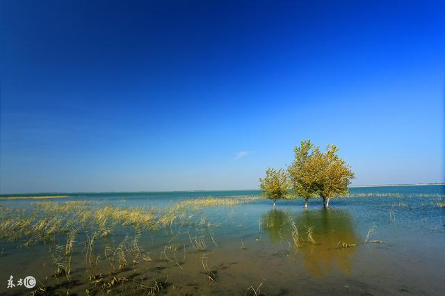 �⼸��������ˣ�һ�����󣬿�����û����