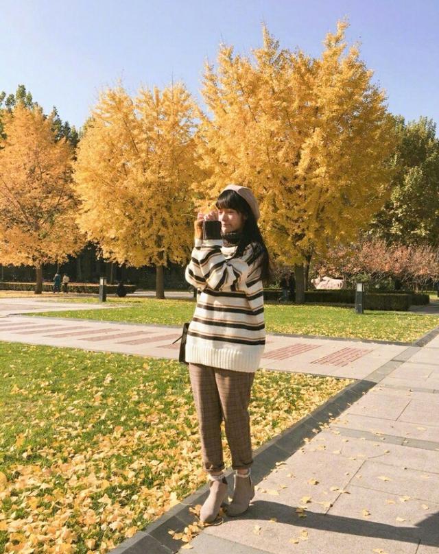 ��9���17��������������20�����¸߶�