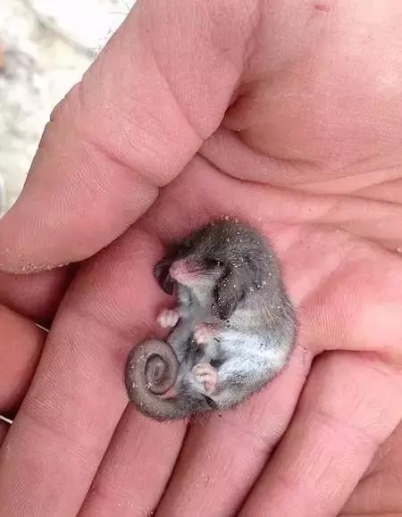 Ѧ֮ǫ����ͩ���պ����ع⣬Ů�ӹ���8�콫�μ�6������