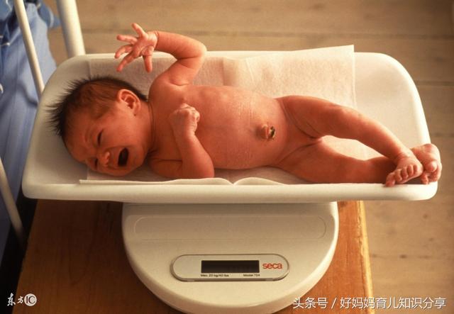 �ʸ����ռǣ�������׼����쿴��Ŷ��