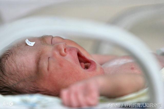 �ʸ����ռǣ�������׼����쿴��Ŷ��