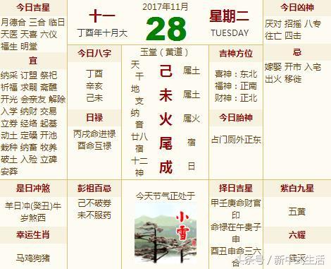 �ܶ������գ�˫�Ƶ��������ԣ����¼������³ɣ�������Ф��������