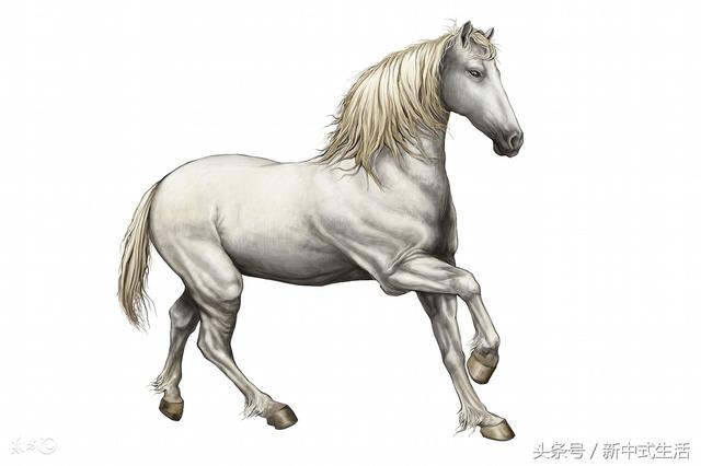 �ܶ������գ�˫�Ƶ��������ԣ����¼������³ɣ�������Ф��������