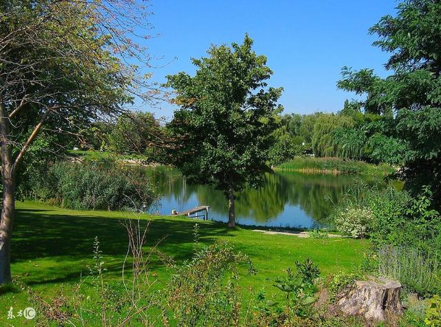 11��28��ù��ɢ������Ʋ���������Ʊ���꣬������3����Ф