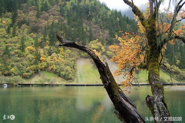 11��28���д�ϲ�󸣣��к���д󽱣���������һ����Ϳ��3����Ф